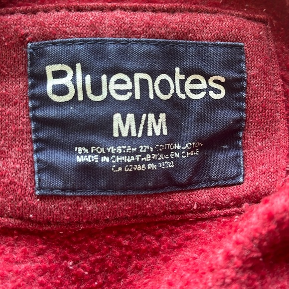 classic bluenotes drawstring zip up hoodie - Picture 6 of 7